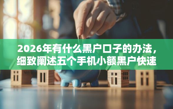 2026年有什么黑户口子的办法，细致阐述五个手机小额黑户快速贷款软件
