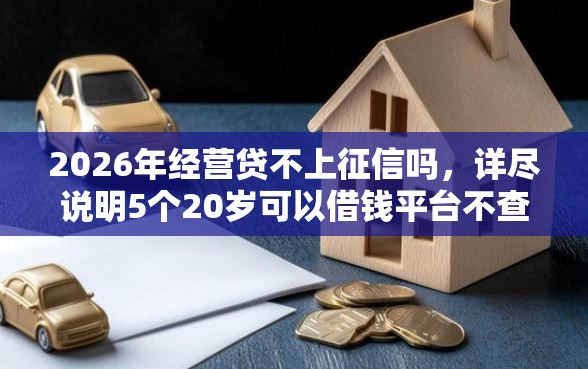 2026年经营贷不上征信吗，详尽说明5个20岁可以借钱平台不查征信的平台