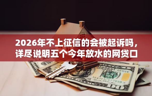 2026年不上征信的会被起诉吗，详尽说明五个今年放水的网贷口子