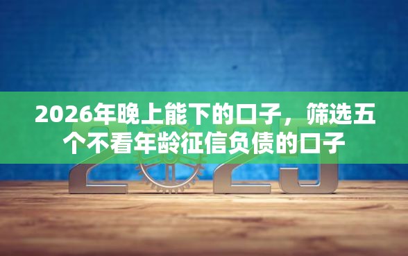 2026年晚上能下的口子，筛选五个不看年龄征信负债的口子