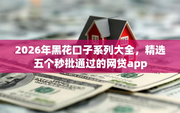 2026年黑花口子系列大全，精选五个秒批通过的网贷app