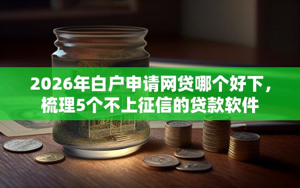 2026年白户申请网贷哪个好下，梳理5个不上征信的贷款软件