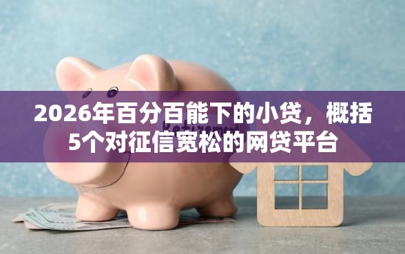2026年百分百能下的小贷，概括5个对征信宽松的网贷平台