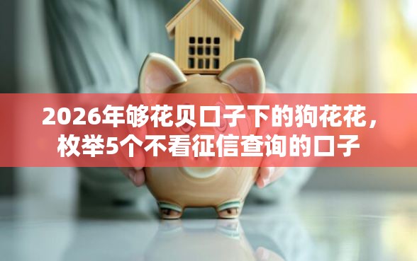 2026年够花贝口子下的狗花花，枚举5个不看征信查询的口子