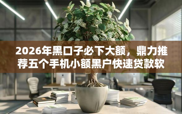 2026年黑口子必下大额，鼎力推荐五个手机小额黑户快速贷款软件