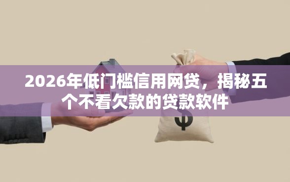 2026年低门槛信用网贷，揭秘五个不看欠款的贷款软件