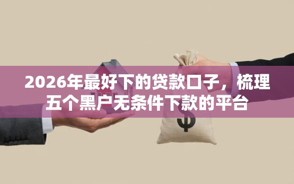 2026年最好下的贷款口子，梳理五个黑户无条件下款的平台