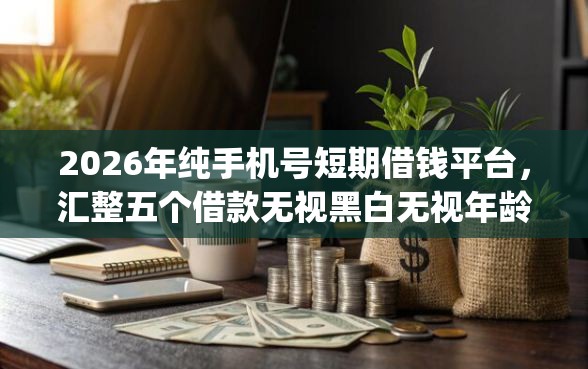 2026年纯手机号短期借钱平台，汇整五个借款无视黑白无视年龄100%秒过app