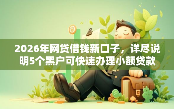 2026年网贷借钱新口子，详尽说明5个黑户可快速办理小额贷款业务的平台