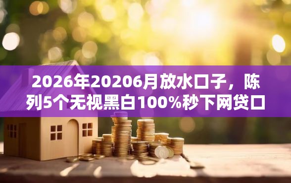 2026年20206月放水口子，陈列5个无视黑白100%秒下网贷口子