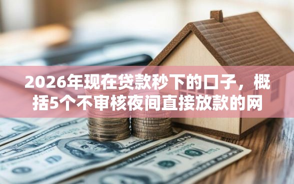 2026年现在贷款秒下的口子，概括5个不审核夜间直接放款的网贷软件