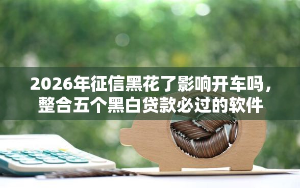 2026年征信黑花了影响开车吗，整合五个黑白贷款必过的软件