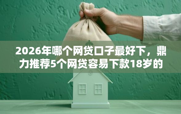 2026年哪个网贷口子最好下，鼎力推荐5个网贷容易下款18岁的平台