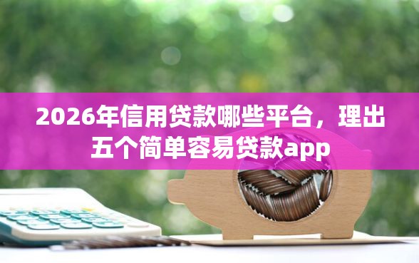 2026年信用贷款哪些平台，理出五个简单容易贷款app