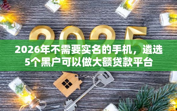 2026年不需要实名的手机，遴选5个黑户可以做大额贷款平台