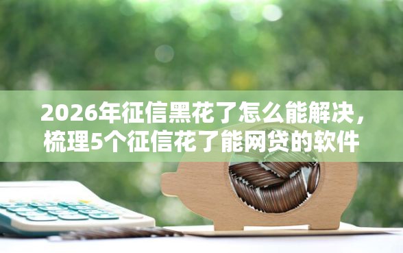 2026年征信黑花了怎么能解决，梳理5个征信花了能网贷的软件