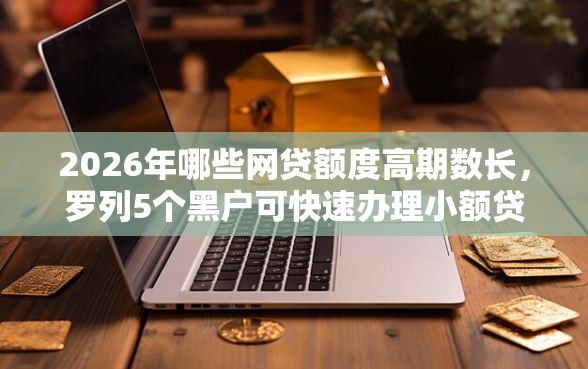 2026年哪些网贷额度高期数长，罗列5个黑户可快速办理小额贷款业务的平台