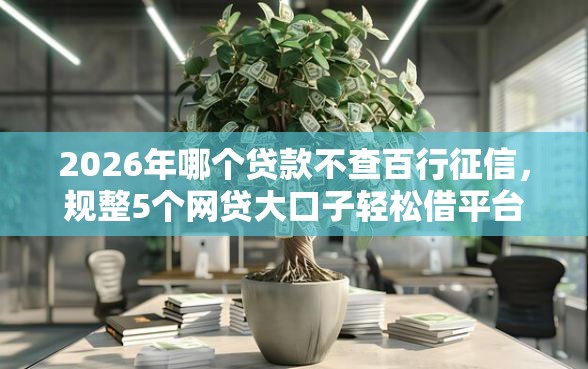 2026年哪个贷款不查百行征信，规整5个网贷大口子轻松借平台