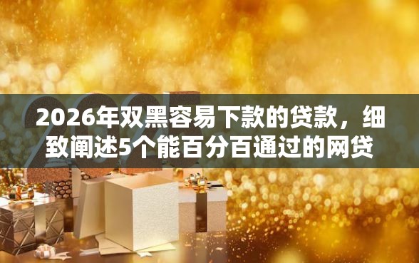 2026年双黑容易下款的贷款，细致阐述5个能百分百通过的网贷口子