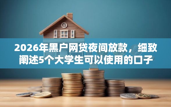 2026年黑户网贷夜间放款，细致阐述5个大学生可以使用的口子