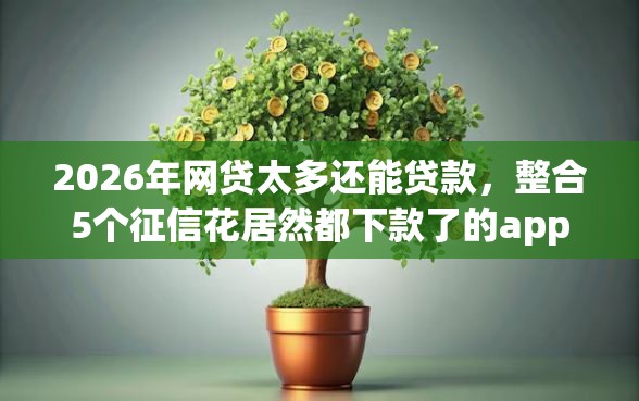 2026年网贷太多还能贷款，整合5个征信花居然都下款了的app