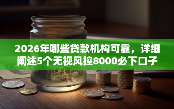 2026年哪些贷款机构可靠，详细阐述5个无视风控8000必下口子