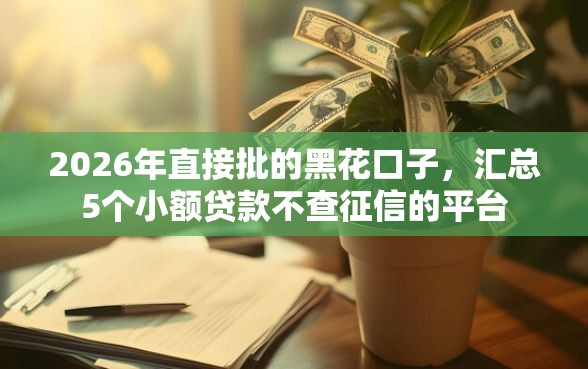 2026年直接批的黑花口子，汇总5个小额贷款不查征信的平台