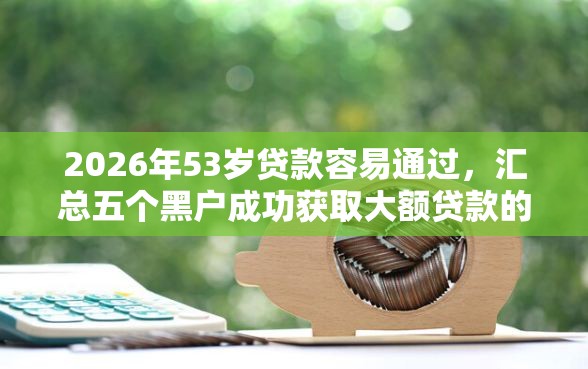 2026年53岁贷款容易通过，汇总五个黑户成功获取大额贷款的软件