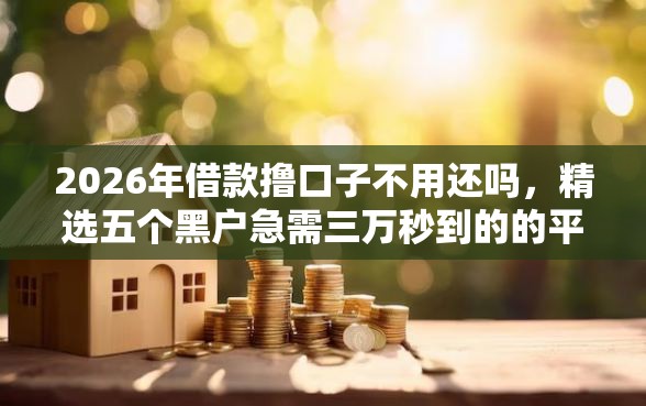 2026年借款撸口子不用还吗，精选五个黑户急需三万秒到的的平台