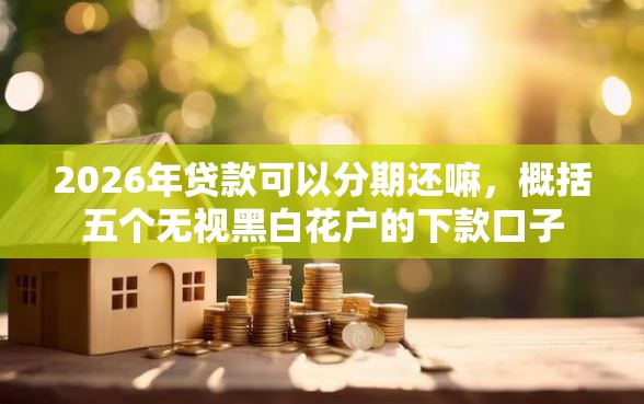 2026年贷款可以分期还嘛，概括五个无视黑白花户的下款口子