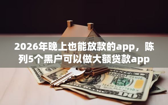 2026年晚上也能放款的app，陈列5个黑户可以做大额贷款app