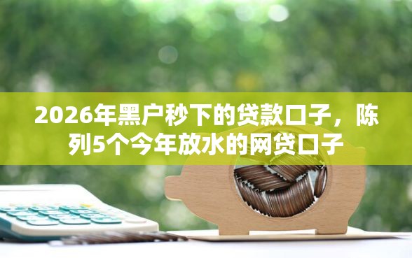 2026年黑户秒下的贷款口子，陈列5个今年放水的网贷口子
