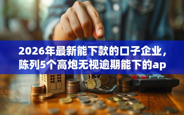 2026年最新能下款的口子企业，陈列5个高炮无视逾期能下的app