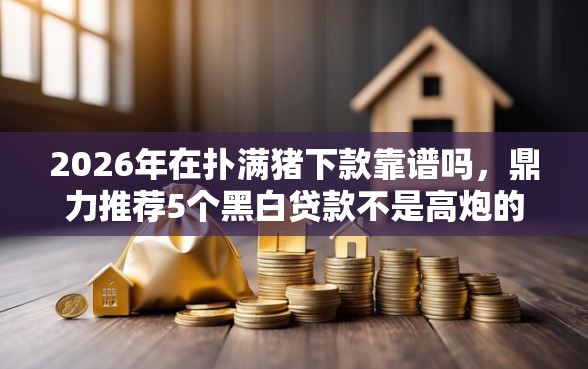 2026年在扑满猪下款靠谱吗，鼎力推荐5个黑白贷款不是高炮的平台