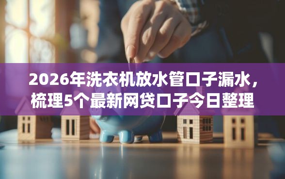 2026年洗衣机放水管口子漏水，梳理5个最新网贷口子今日整理这五个app