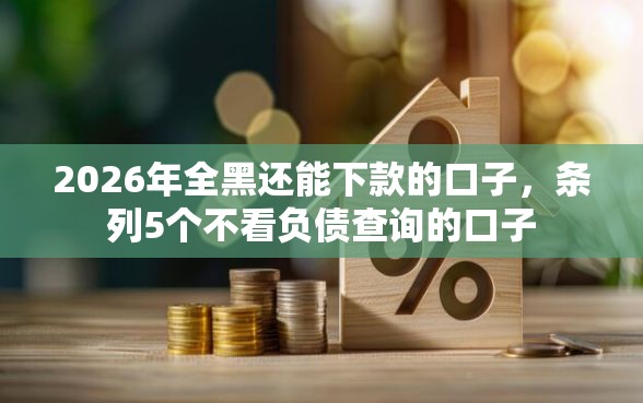 2026年全黑还能下款的口子，条列5个不看负债查询的口子