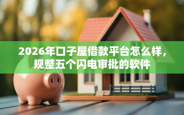 2026年口子屋借款平台怎么样，规整五个闪电审批的软件