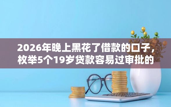 2026年晚上黑花了借款的口子，枚举5个19岁贷款容易过审批的口子