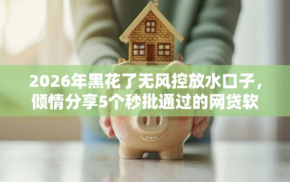 2026年黑花了无风控放水口子，倾情分享5个秒批通过的网贷软件