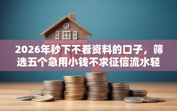 2026年秒下不看资料的口子，筛选五个急用小钱不求征信流水轻松贷的软件