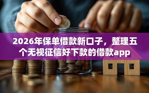 2026年保单借款新口子，整理五个无视征信好下款的借款app