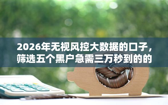 2026年无视风控大数据的口子，筛选五个黑户急需三万秒到的的口子