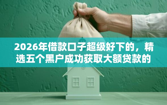 2026年借款口子超级好下的，精选五个黑户成功获取大额贷款的软件
