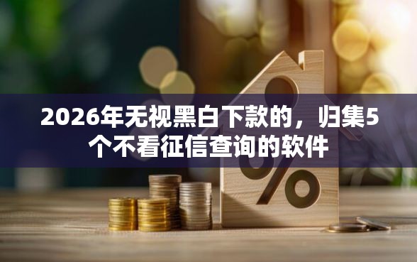 2026年无视黑白下款的，归集5个不看征信查询的软件