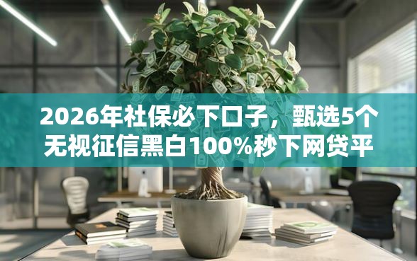 2026年社保必下口子，甄选5个无视征信黑白100%秒下网贷平台