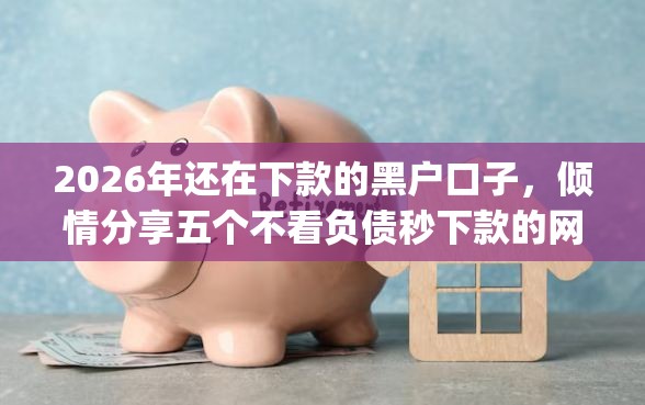 2026年还在下款的黑户口子，倾情分享五个不看负债秒下款的网贷app