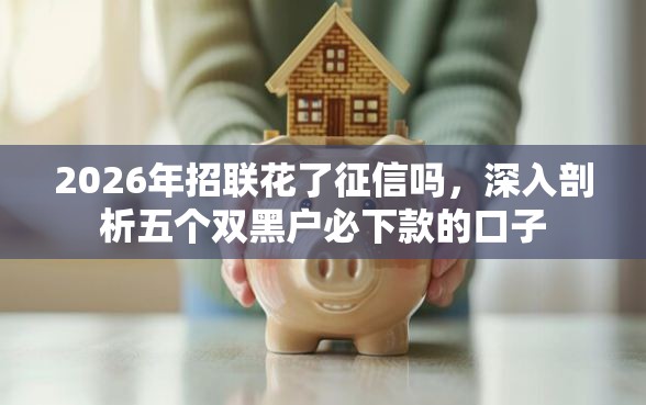 2026年招联花了征信吗，深入剖析五个双黑户必下款的口子