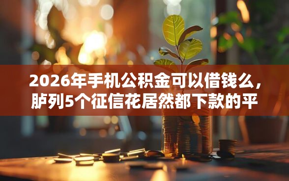 2026年手机公积金可以借钱么，胪列5个征信花居然都下款的平台