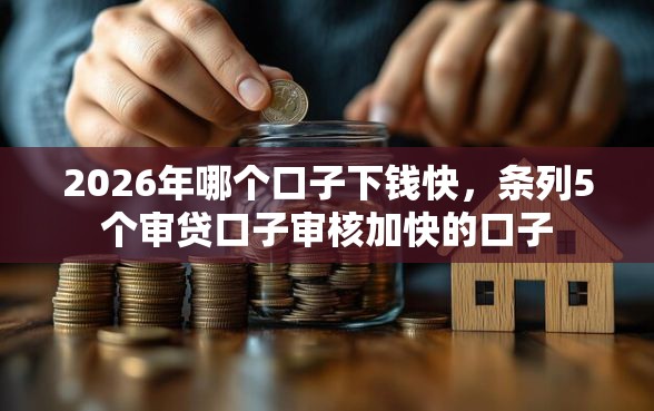 2026年哪个口子下钱快，条列5个审贷口子审核加快的口子