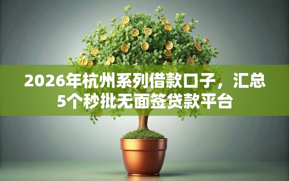 2026年杭州系列借款口子，汇总5个秒批无面签贷款平台